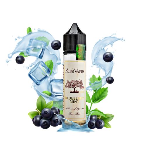 [Discontinued] Ripe Vapes Blueberry Mint 20ml longfill