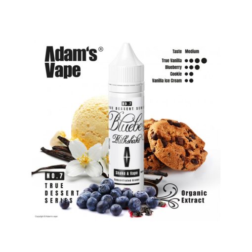 Adam's Vape Blueberry Milkshake 12ml longfill