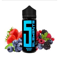 5 Elements Berry Mint 10ml longfill