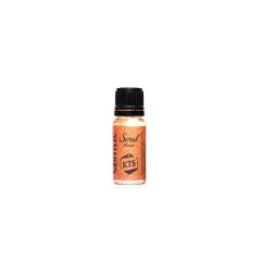 [Kifutott] KTS Gothic Soul 10ml aroma